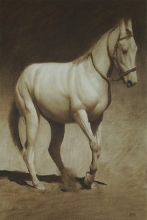 Marwari Horse Indian Art Charcoal Art