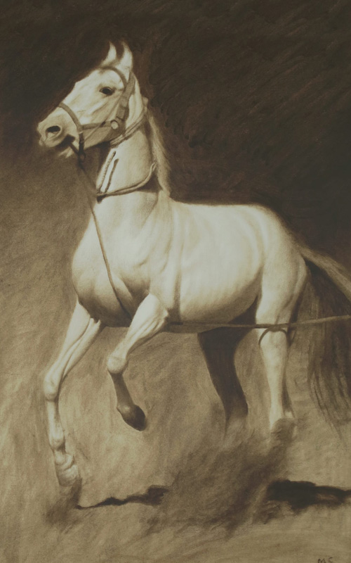 Equestrian Equine art