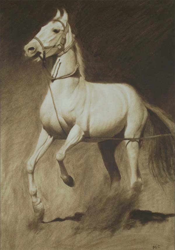 Oil Painting Marwari Horse Rearing - Mark Clark's Art By Medium