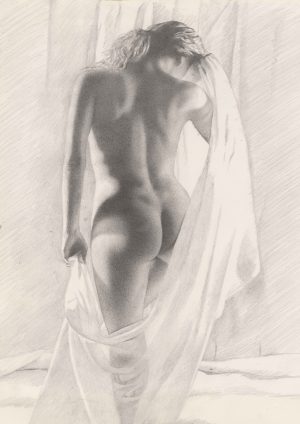 Zoe with Drape - Pencil Drawing Mark Clark Fine Art