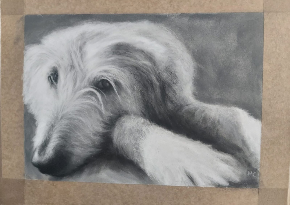 Charcoal Drawing of Dogs